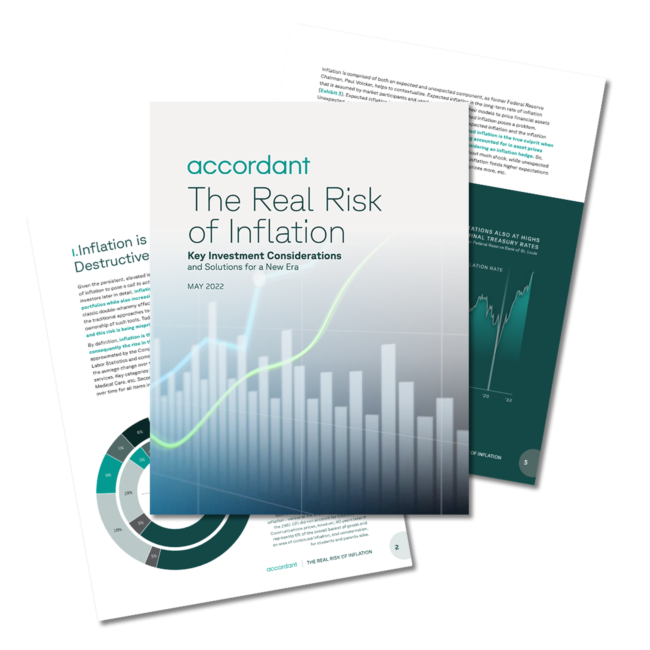 The Real Risk of Inflation Image of the eBook