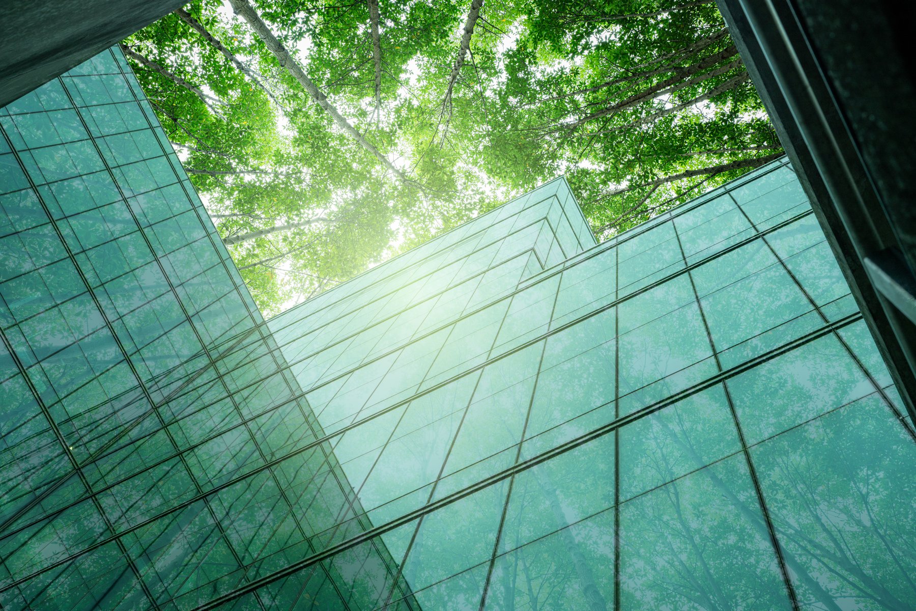 Low-angle view of a sleek glass building reflecting green trees and sunlight, blending nature with contemporary architecture